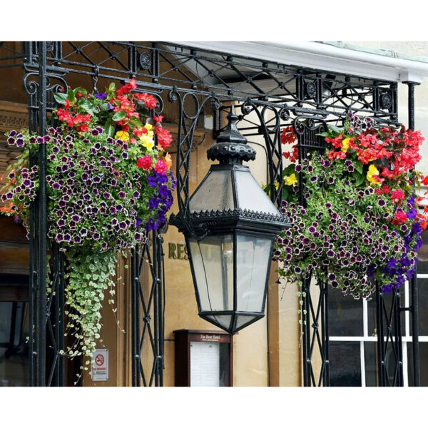 Hanging Basket mit Kokoseinsatz + Tropf-Stopp-Folie