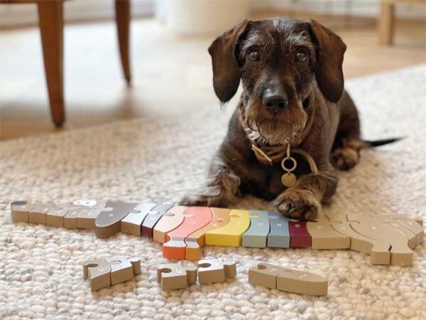 ABC-Puzzle aus Holz in witziger Hundeform, ab 3 Jahre